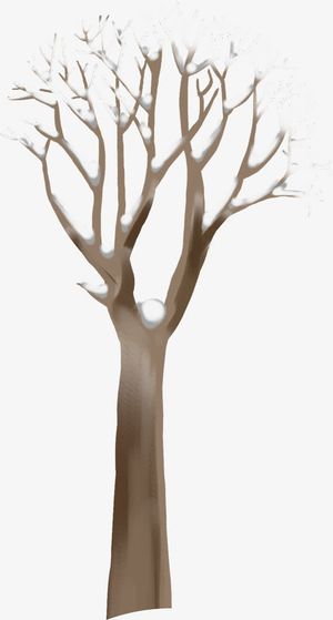 冬季棕色雪花树枝免抠