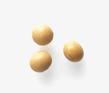 3粒散落的大黄豆免抠 3粒散落的大黄豆免抠