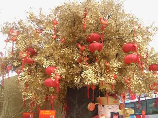 财神爷和许愿树免抠