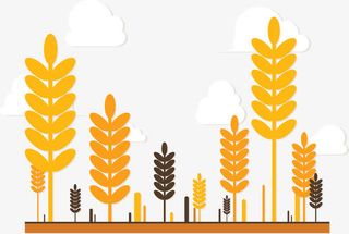 丰收麦田矢量免抠
