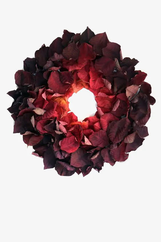 红色花瓣免抠