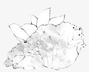 创意合成效果手绘水墨合成免抠