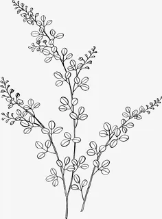 矢量手绘植物简笔画图案免抠手绘/卡通卡通元素