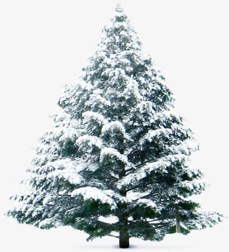 冬季雪花植物大树免抠