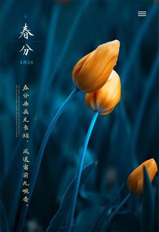 春分节气海报高清文艺清新背景