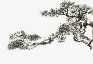 中国风手绘的绿色植物免抠