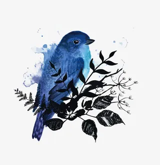 矢量蓝色鸟免抠