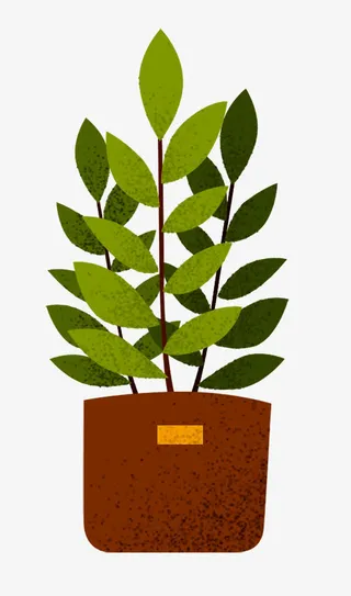 花盆盆栽绿色植物小清新免抠