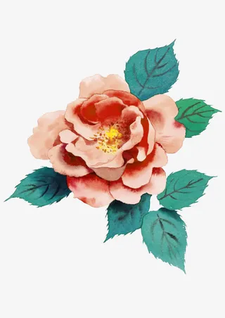 牡丹花彩绘花朵免抠