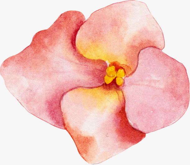 手绘花朵免抠