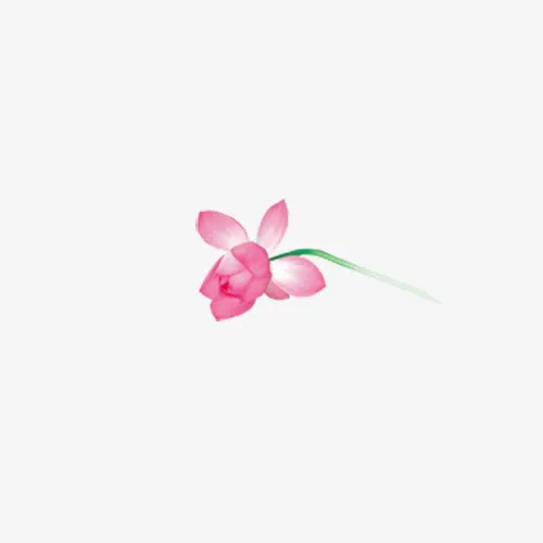 荷花免抠