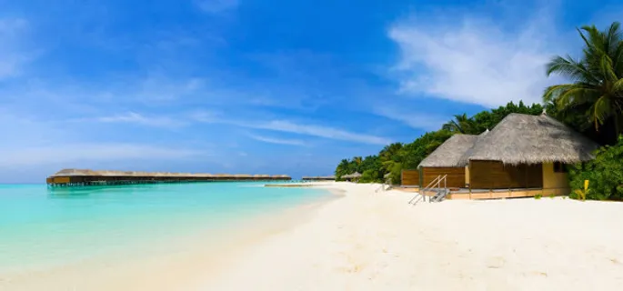 摄影背景 摄影背景