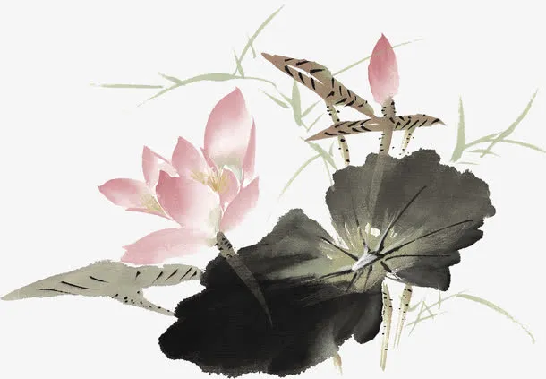 手绘粉色莲花海报装饰免抠