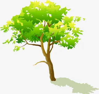 春天黄绿色手绘大树免抠