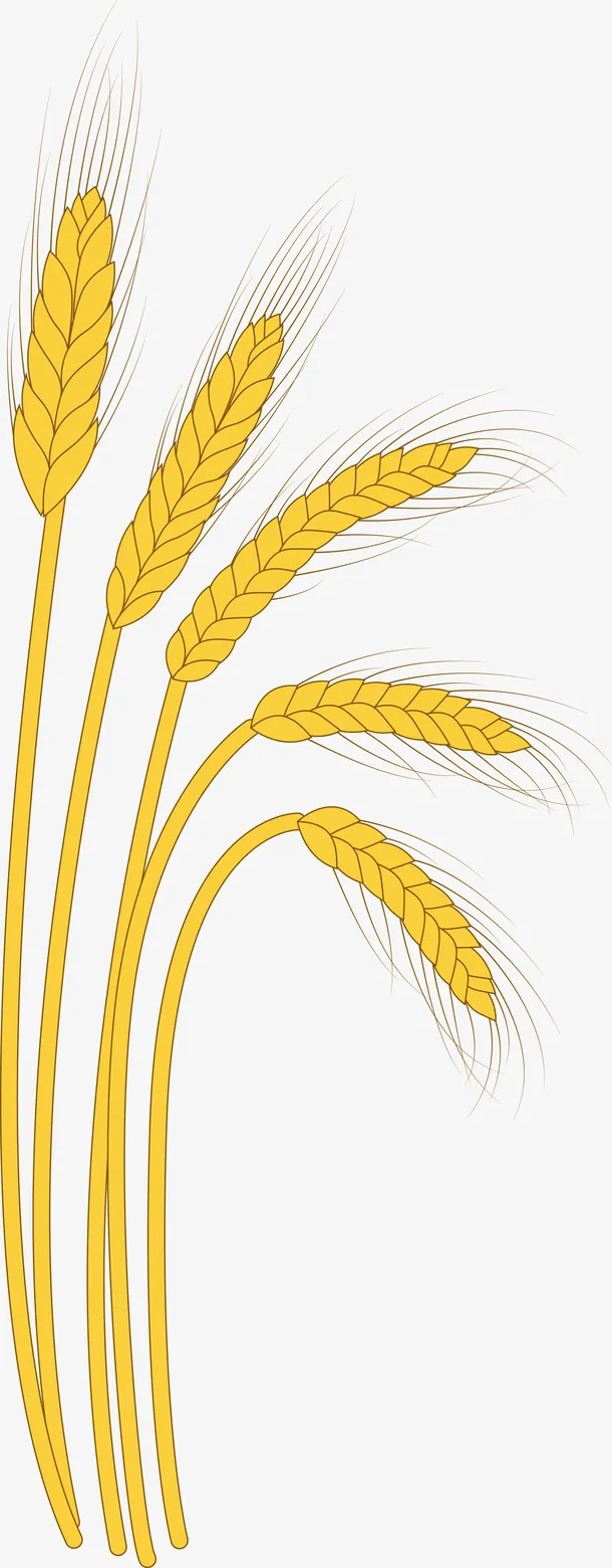 手绘小麦矢量图免抠