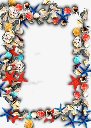 海底海星与贝壳螺免抠