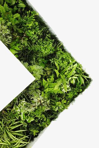 创意绿色叶片装饰免抠