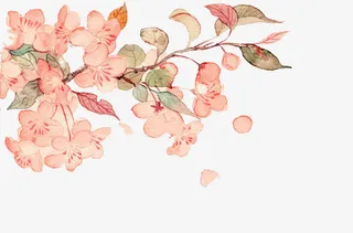 海棠树枝矢量素材免抠