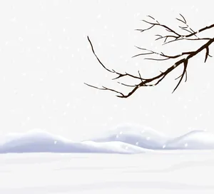 下雪天的枯树枝免抠