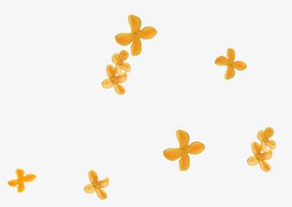 桂花花瓣飘落免抠