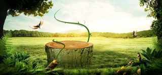 梦幻森林背景高清