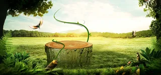 梦幻森林背景高清