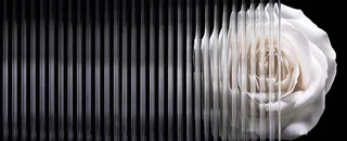 时尚简约背景高清