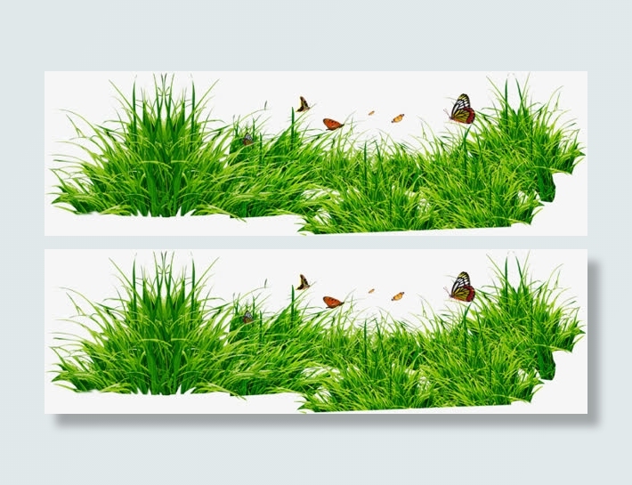 小草 蝴蝶 png免扣免抠