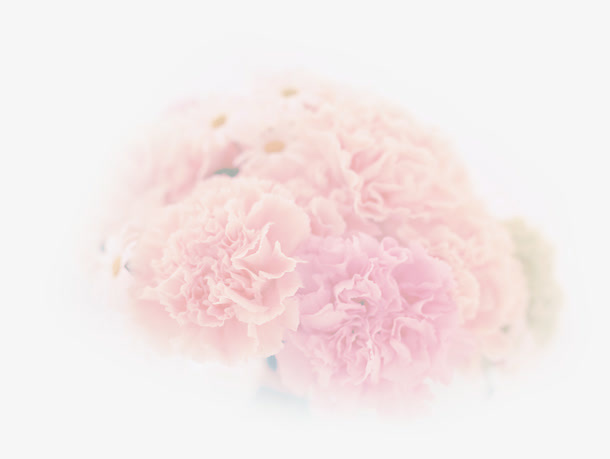 粉色唯美模糊花朵母亲节免抠
