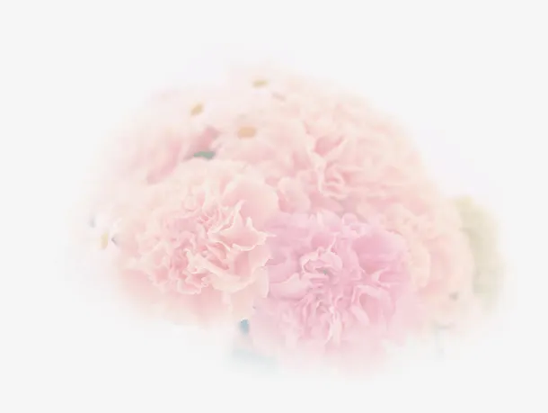 粉色唯美模糊花朵母亲节免抠