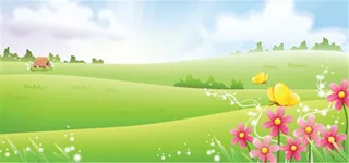 原野小花背景高清