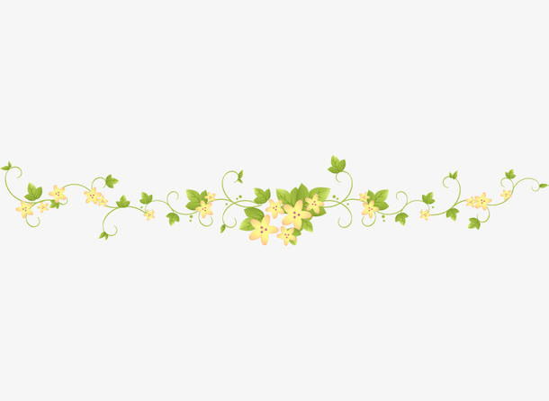 花纹 边框 素材图片免抠