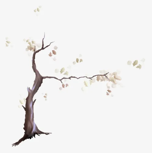 手绘大树免抠