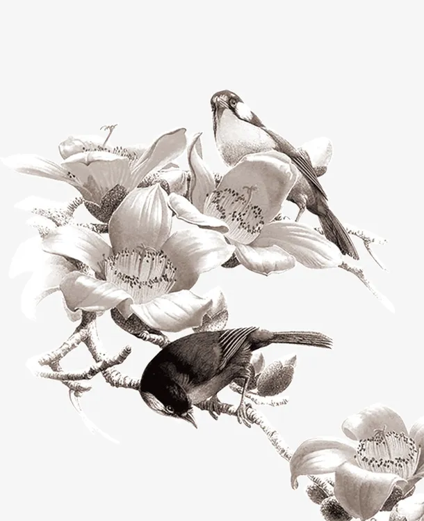 左下角枝头鸟.免抠