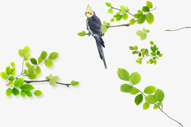 中国风水墨色块元素免抠