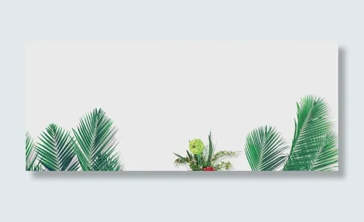 简约清新背景免抠