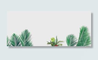 简约清新背景免抠