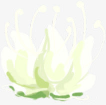 唯美梦幻简约白色鲜花免抠
