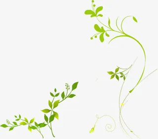 绿色花藤设计春天免抠