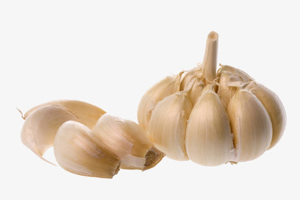 大蒜摄影免抠