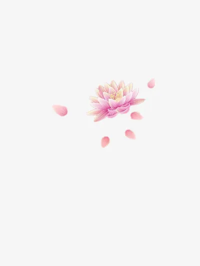 荷花免扣背景png素材