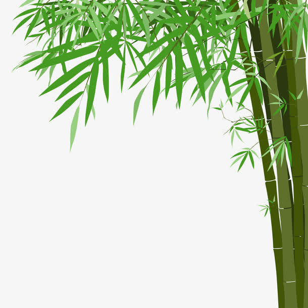 竹子免抠