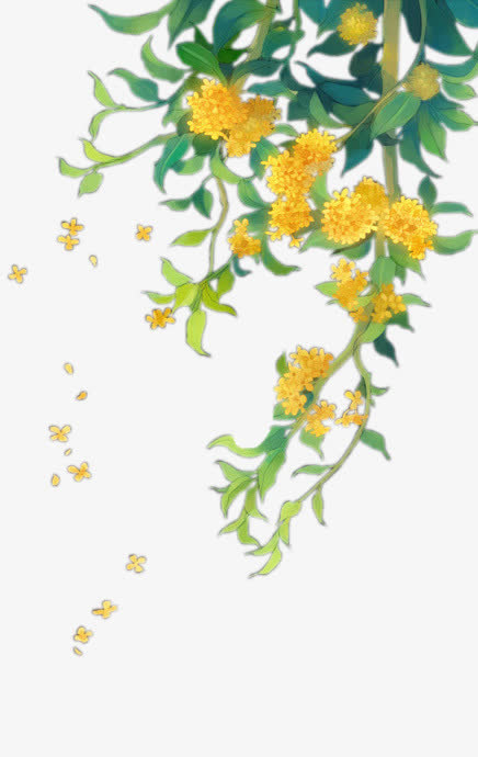 手绘桂花免抠