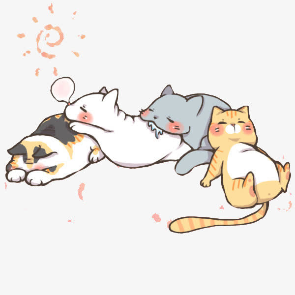 宠物猫免抠