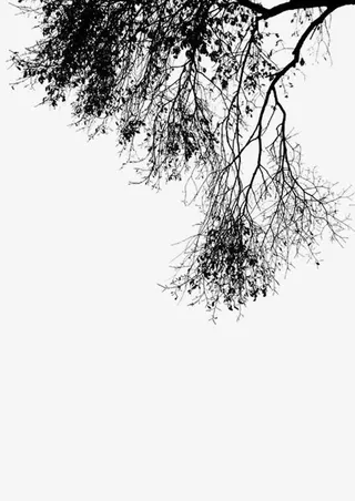 树枝 水墨画 中国画免抠