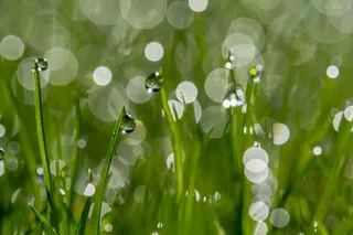 水珠绿色草地海报背景
