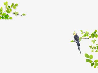 树枝上的鸟免抠