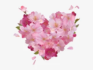 心形花瓣图案免抠