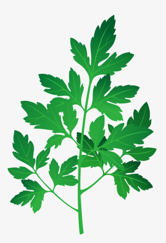 春意盎然免抠动植物植物元素