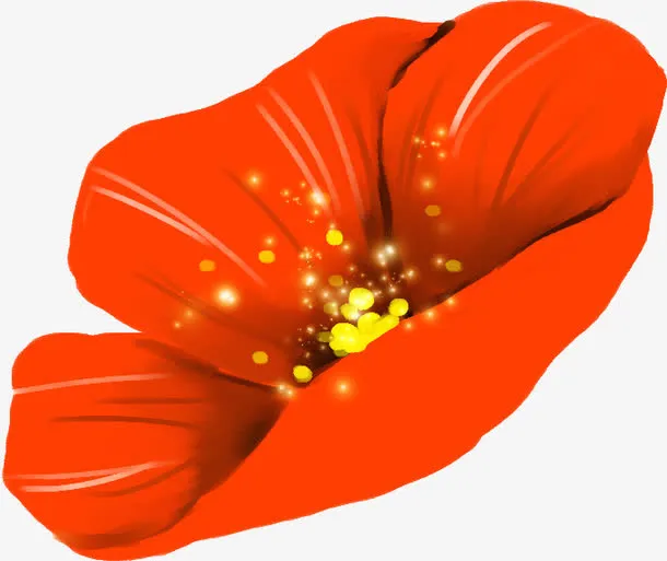 橙色美丽开放花朵免抠